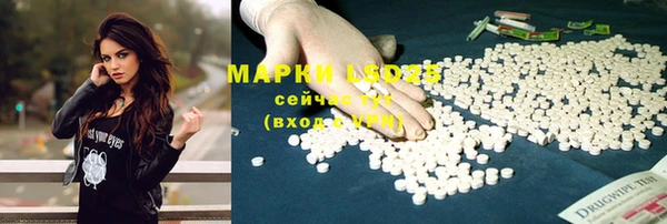 Альфа ПВП Лабытнанги