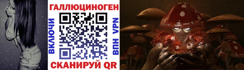 продажа наркотиков  ОМГ ОМГ вход  Псилоцибиновые грибы Cubensis  Спасск 